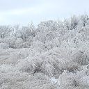 ,  -  6  2014    