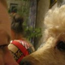 ���� ������, �����-��������� - ��������� 23 ������ 2014 � ������ ���� ����������