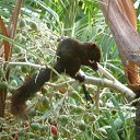  ,  -  4  2014    2014