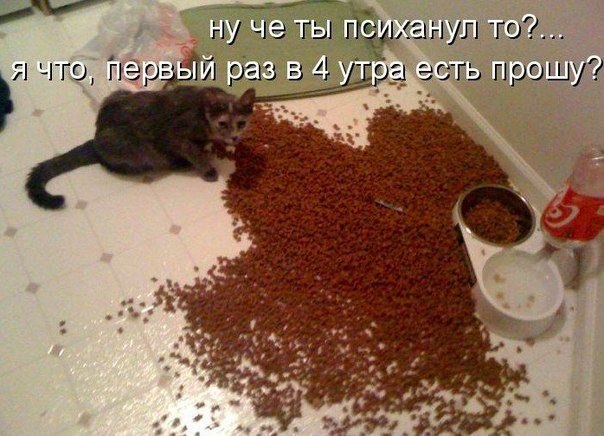       - 2  2014  07:01
