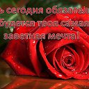 ���� ���, ������� - ��������� 26 ������� 2014 � ������ �������� ��� ��� �������
