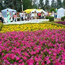 ���� Guzel, ��� - ��������� 24 ������� 2014 � ������ ���� ����������