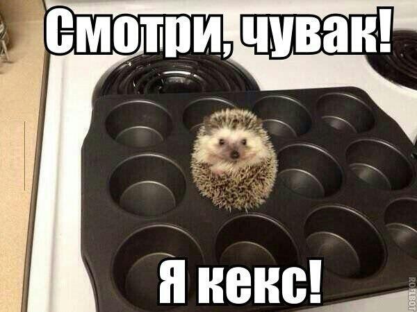   - 29  2014  11:01