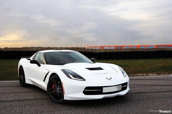Chevrolet Corvette Stingray / Z51 - 7