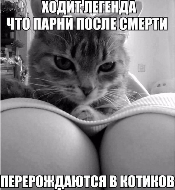    :-) - 1  2014  11:42