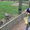 ���� ����, ������������, 71 ��� - ��������� 27 �������� 2014 � ������ ���� ����������