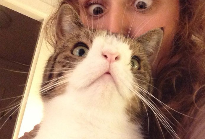 ,    ."    .      ... - 4