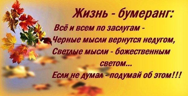     ...      -    ,   ...