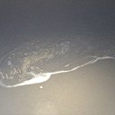 ���� ����, ���������, 33 ���� - ��������� 12 ������ 2014 � ������ ������ ��������