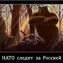  , , 55  -  11  2014    