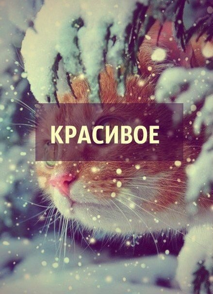 ...       - 4