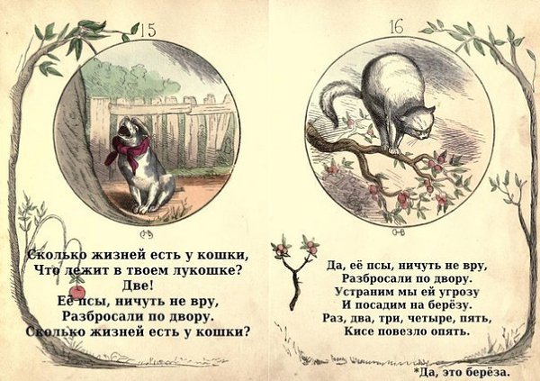 Сколько жизней у кошки