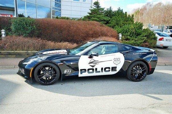 Chevrolet C7 Corvette Stingray with police livery. - 5