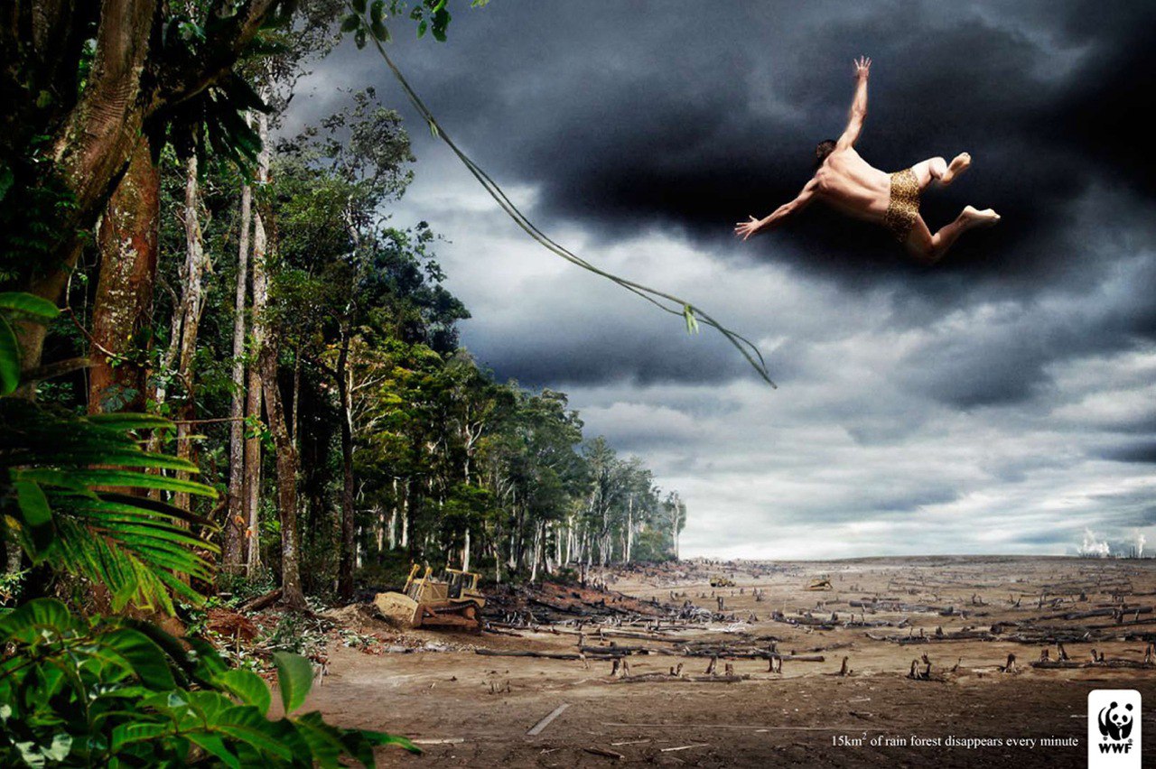 Спасет мир фото. Креативная реклама. Креативная реклама с природой. Спасение тропических лесов. Жизнь в тропиках.