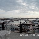  ., , 62  -  11  2014   
