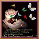 ���� �����, �������, 62 ���� - ��������� 6 �������� 2014 � ������ �������� ��������