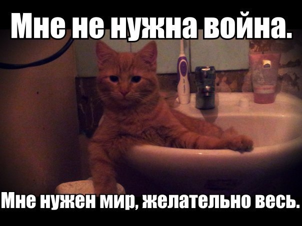  - 1  2014  13:37