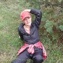  ,  , 49  -  20  2014    