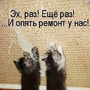 ���� ���, ������, 25 ��� - ��������� 31 ������� 2014 � ������ ���� ����������