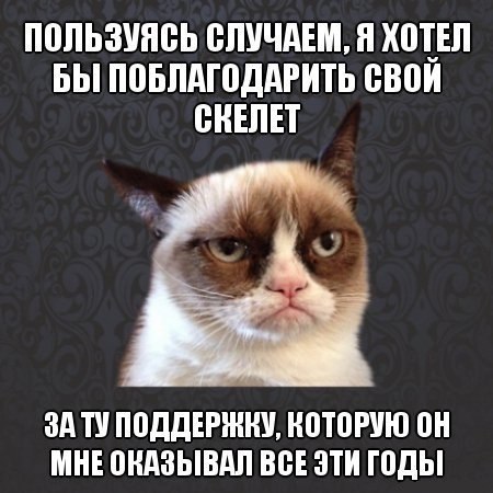 ☆ ☆ - 19  2014  23:06