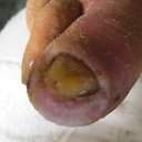 ���� ����� �������, �������, 49 ��� - ��������� 12 ������ 2014 � ������ ���� ������