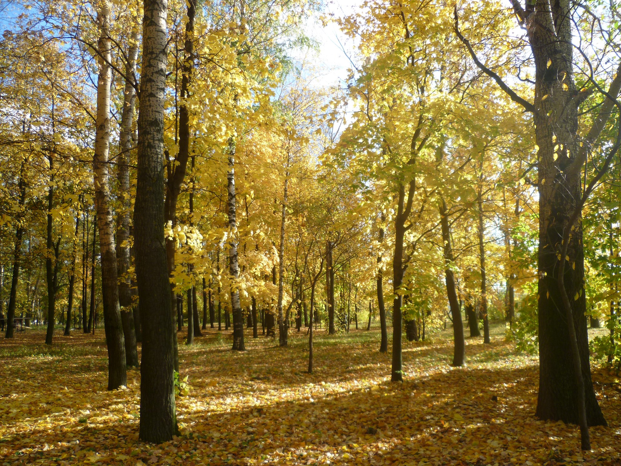 � ���� ������, � ���� ------&mdash; �����.. - 2