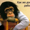  ,  -  19  2014   