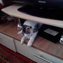 ���� ������, ������� ������, 64 ���� - ��������� 9 ������� 2014 � ������ ���� ����������