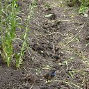 ���� ������� �����, ��������� - ��������� 7 ������� 2014 � ������ ������ ��������