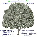 ���� �����, �����-���������, 68 ��� - ��������� 18 ������ 2014 � ������ ������ ��������