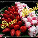 ���� ������, ��������, 67 ��� - ��������� 7 ������� 2014 � ������ ������ ��������