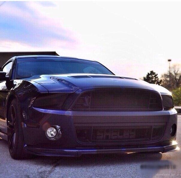 Shelby GT500. - 5