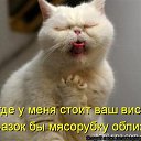 ���� ���������, ���������, 39 ��� - ��������� 7 ������� 2014 � ������ ���� ����������