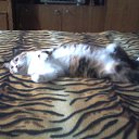 ���� ������, �����������, 57 ��� - ��������� 6 ������ 2014 � ������ �"������"�