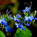 ���� ��������, �������, 46 ��� - ��������� 7 ������� 2014 � ������ ���������� ����� ! ���� �������. ����� �� !�