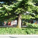  ♥ Fly ♥,  -  24  2014     (  )