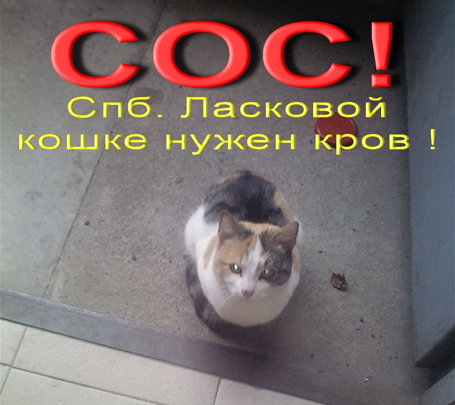  #_. , ,      . ...