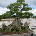 ������ �� ������� ����� ������ � ������ (�������)�