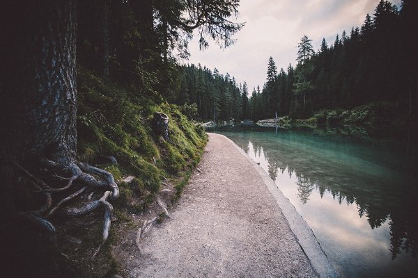 tumblr - 1  2014  08:28