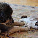 ��� ������! �� ������� �������� �����)�