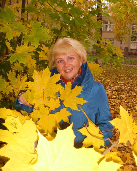: , 64 ,     
