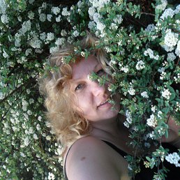 �����, ����