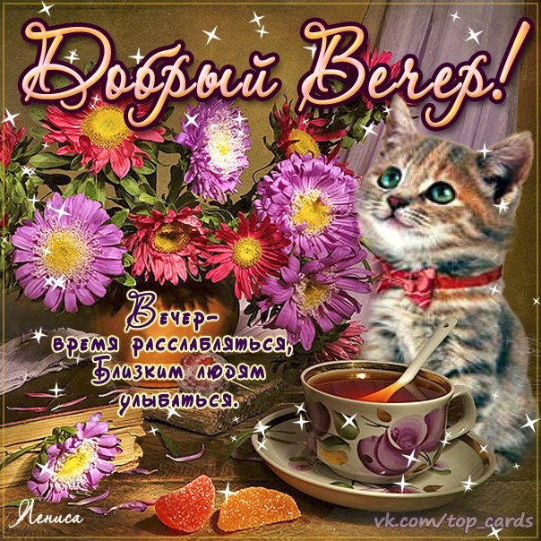 ДЕРЖИ!!! По ветру — нос! Пистолетом — хвост! Себя — в руках! Рот — на замках! Голову — в холоде! ...