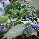 ���� �����, ������������ - ��������� 1 �������� 2014 � ������ �������������