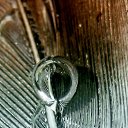  Dali, , 52  -  18  2014    