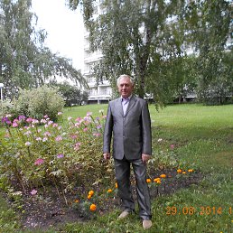 ���� ���������, �������, 63 ���� - ��������� 22 �������� 2014