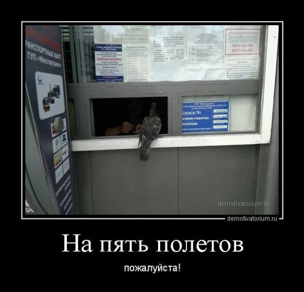 ������� ����,���� - 30 ������� 2014 � 19:06
