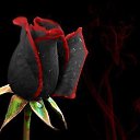 ���� �������� (�� �������), ������, 52 ���� - ��������� 17 �������� 2014 � ������ ������ ��������