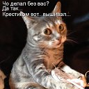  N..., , 47  -  11  2014       )))