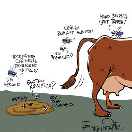 ���� �������, �����-���������, 48 ��� - ��������� 12 �������� 2014